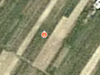 Previzualizare teren