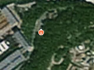 Previzualizare 3/8 17264 padure