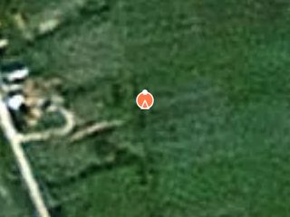 Previzualizare TREN PADURE BARNA -TIMIS