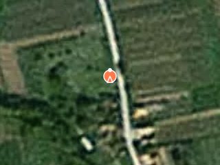 Previzualizare Proprietate Agricola/Plantatie Afini TEREN+CONSTRUCTII