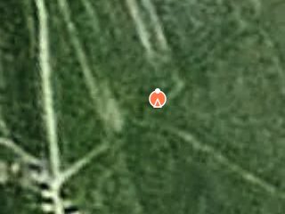 Previzualizare teren cu constructii in Dumbrava Holod