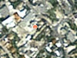 Previzualizare AUTORIZATIE DE FUNCTIONARE