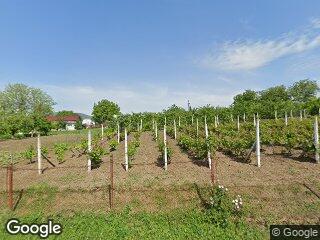 Previzualizare cota de 1/4 din teren partial intravilan in suprafata de 10.000 m.p.